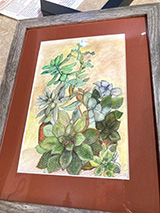 Class catalog graphic ClassGraphic