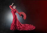 Flamenco Graphic