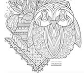 Course catalog graphic CourseGraphic
